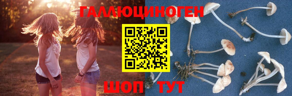 Галлюциногенные грибы прущие грибы Коряжма